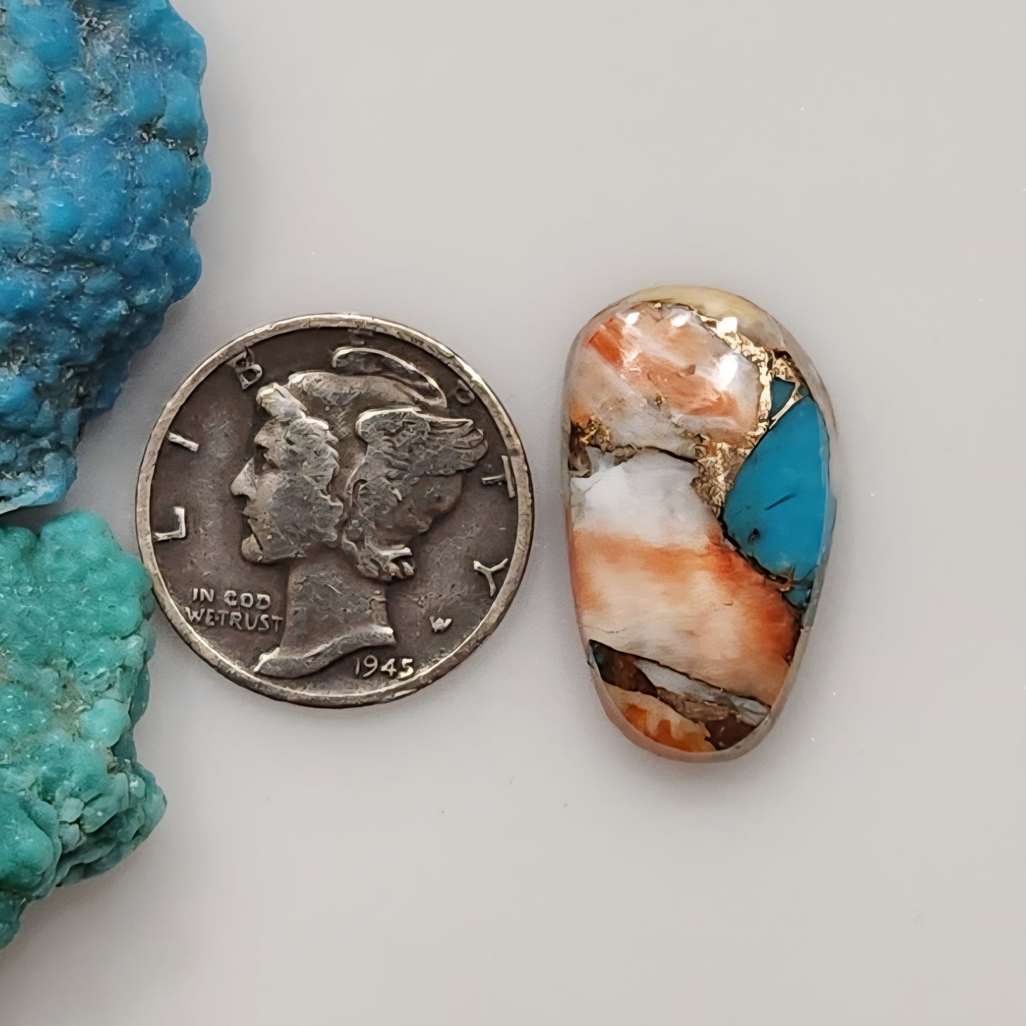 Spiny Oyster/Turquoise Composite