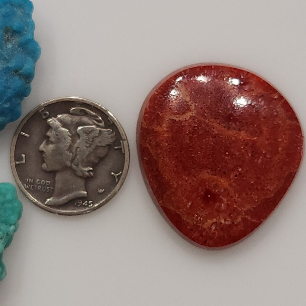 Apple Coral