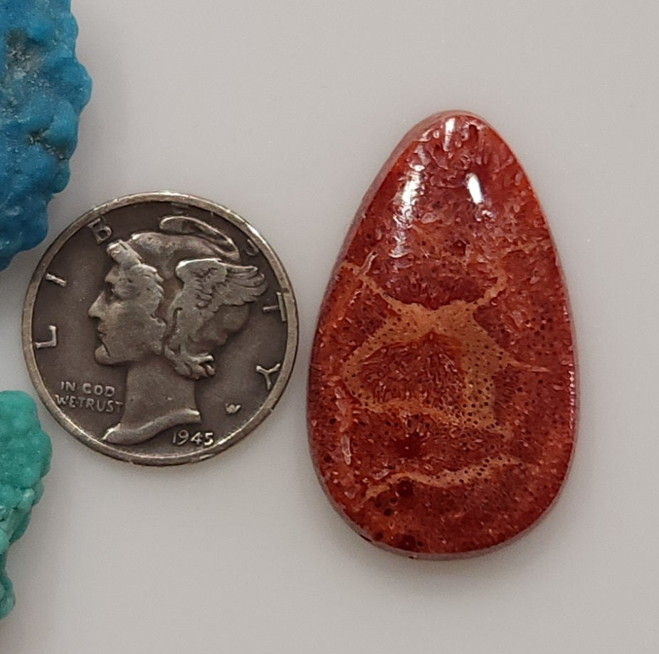 Apple Coral