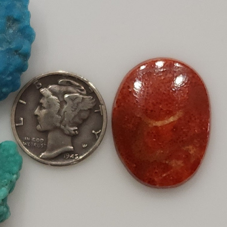 Apple Coral