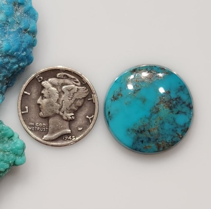 Kingman Turquoise