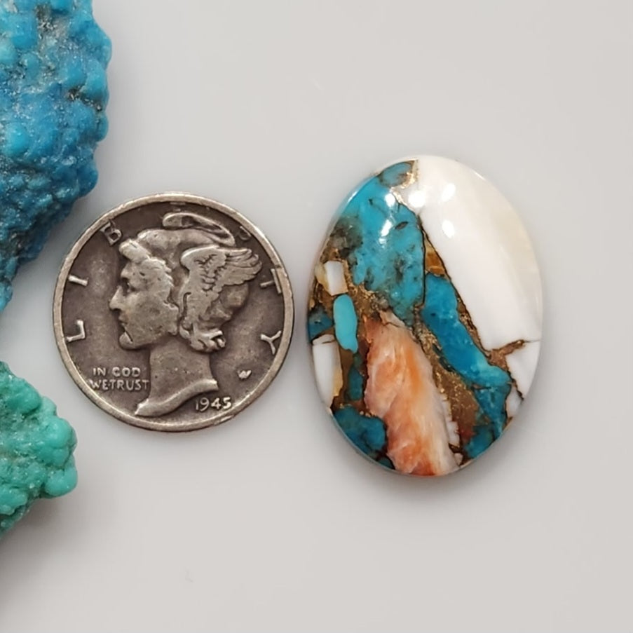 Spiny Oyster/Turquoise Composite