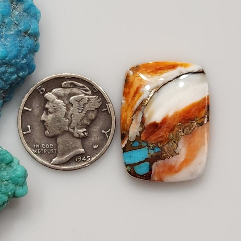 Spiny Oyster/Turquoise Composite