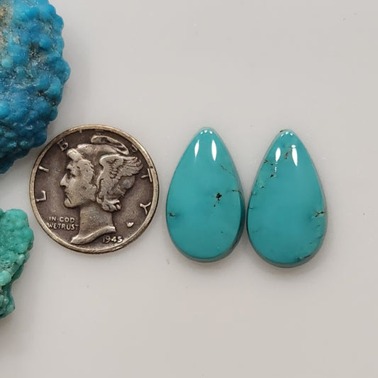 Kingman Hardy Pit Turquoise Pair