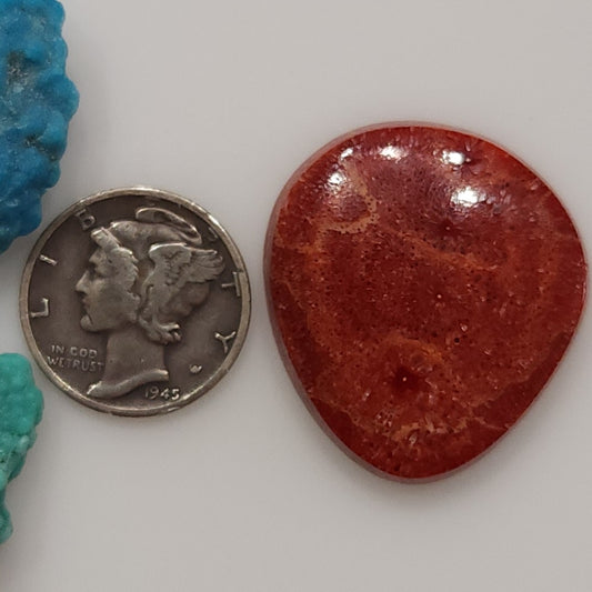 Apple Coral