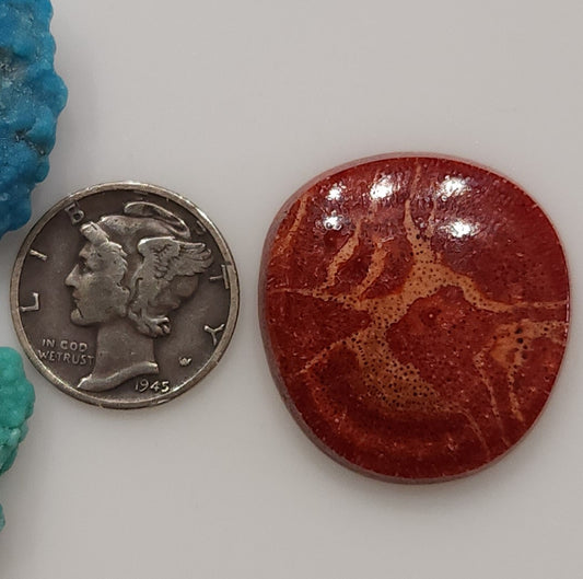 Apple Coral