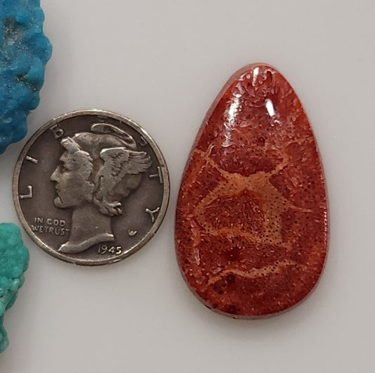 Apple Coral