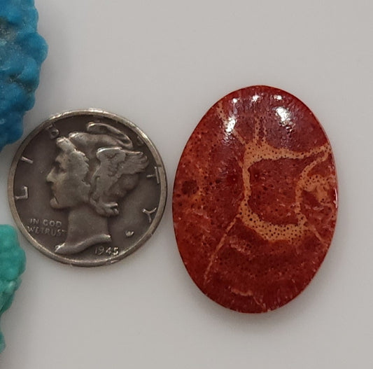 Apple Coral