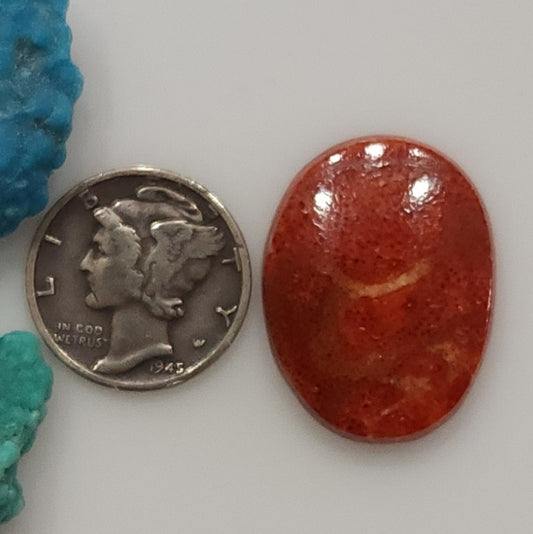 Apple Coral