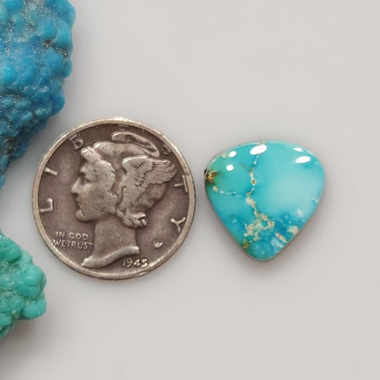 Sonoran Mountain Turquoise