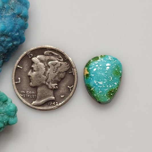 Sonoran Mountain Turquoise