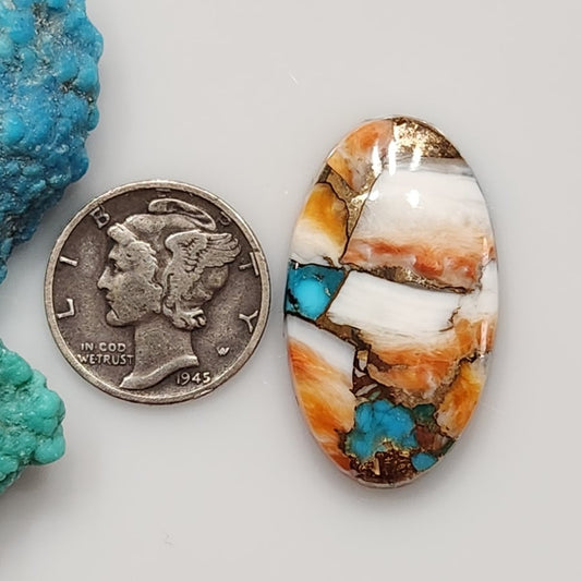 Spiny Oyster/Turquoise Composite