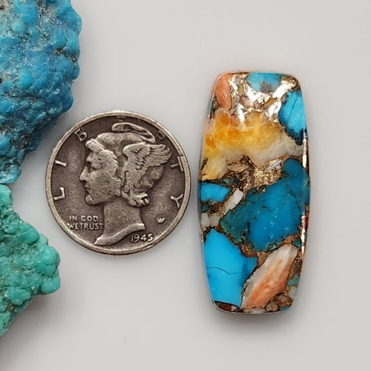 Spiny Oyster/Turquoise Composite