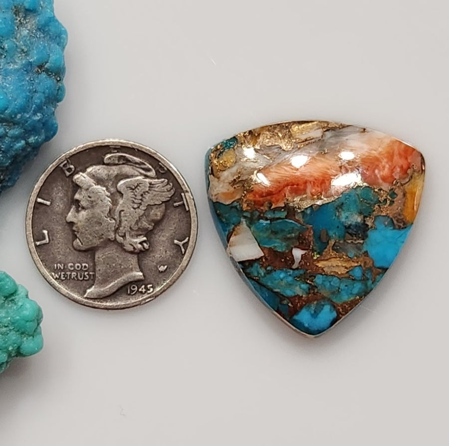Spiny Oyster/Turquoise Composite