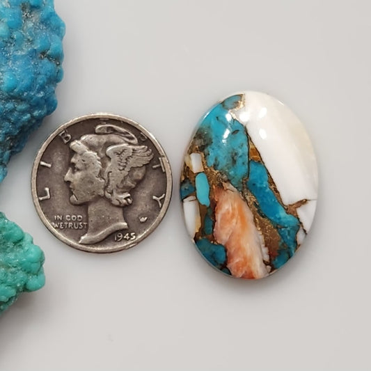 Spiny Oyster/Turquoise Composite