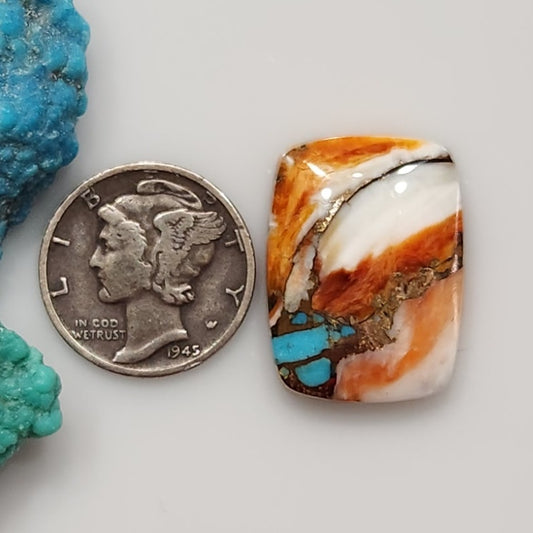 Spiny Oyster/Turquoise Composite