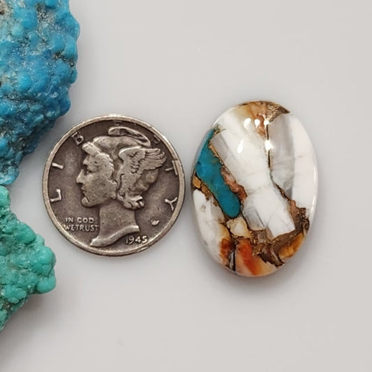 Spiny Oyster/Turquoise Composite