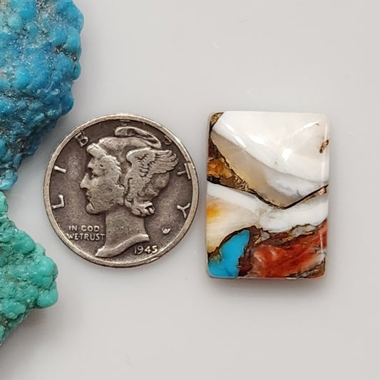 Spiny Oyster/Turquoise Composite