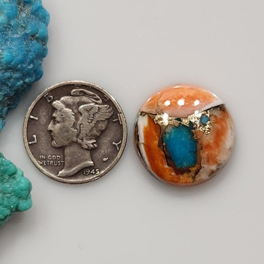 Spiny Oyster/Turquoise Composite
