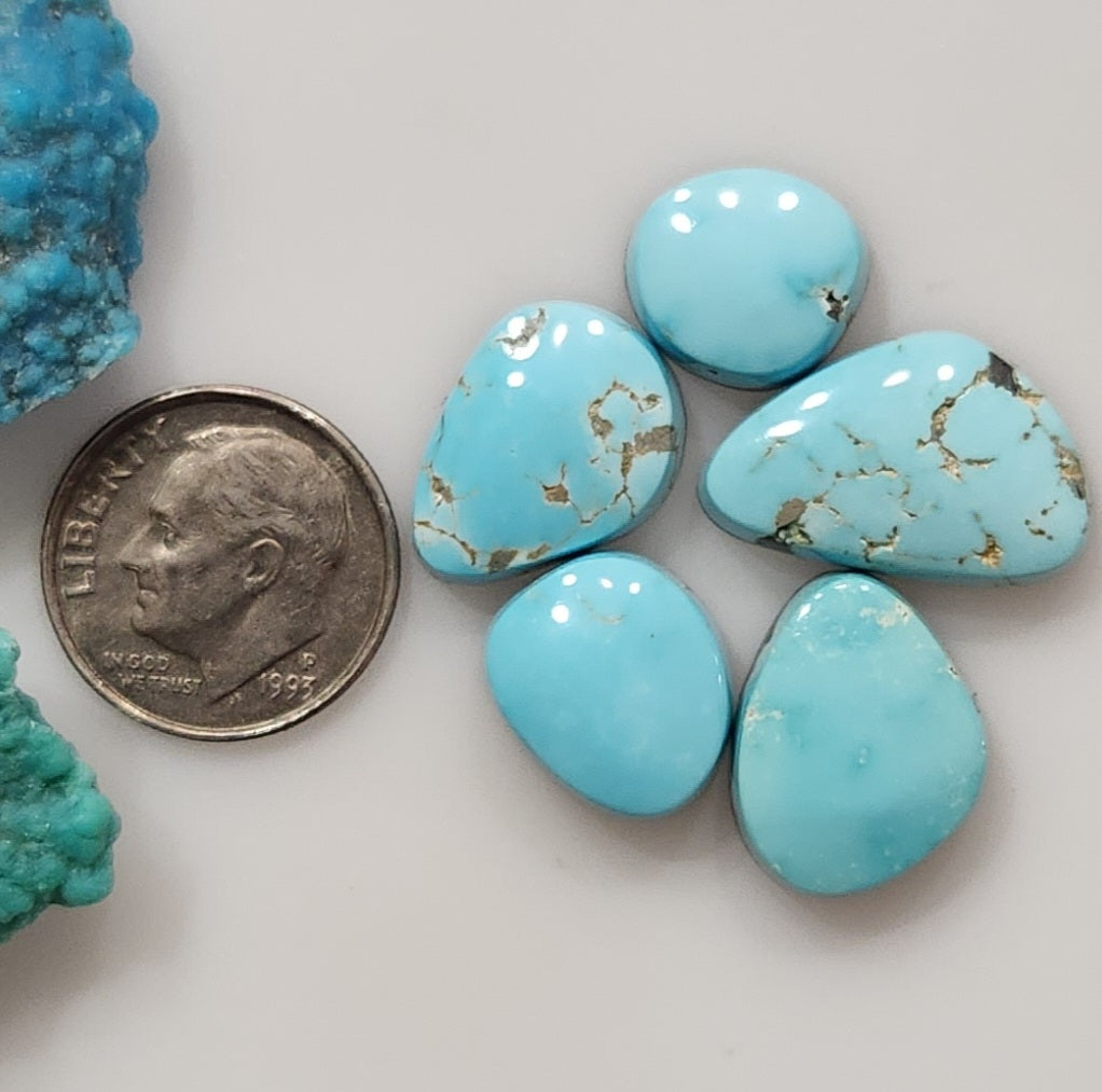 Lone Mountain Turquoise