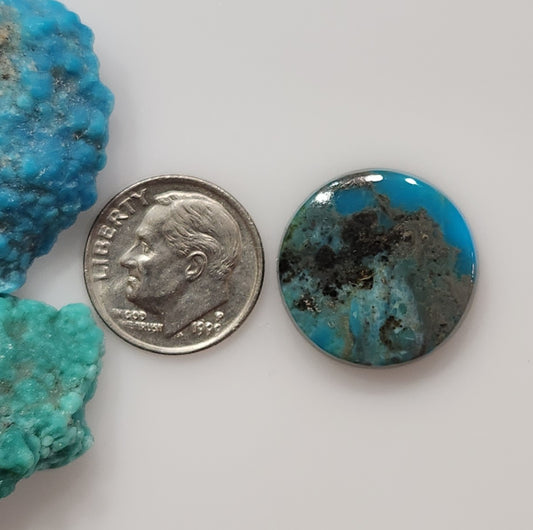 Kingman Turquoise