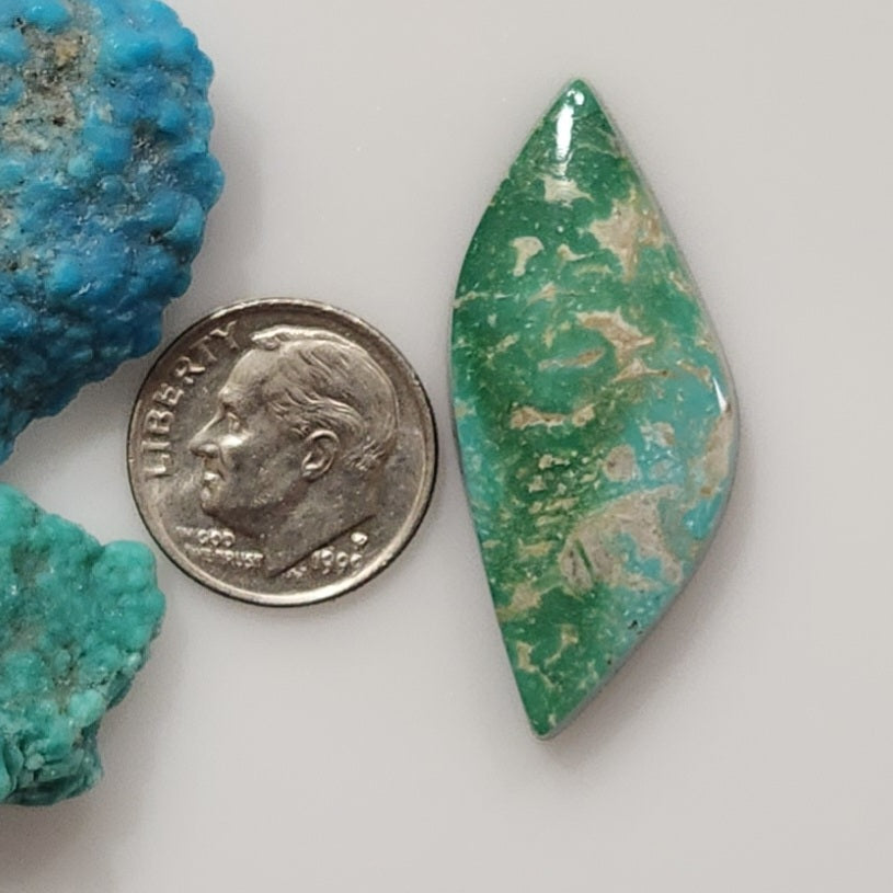 Fox Turquoise
