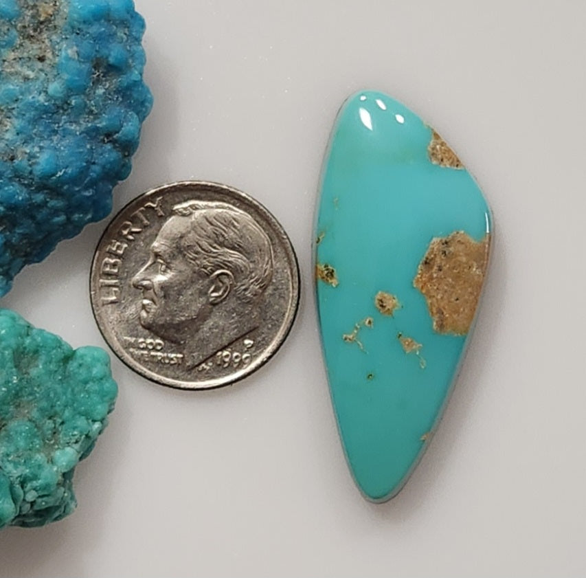 Fox Turquoise