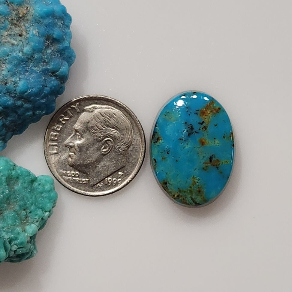 Fox Turquoise